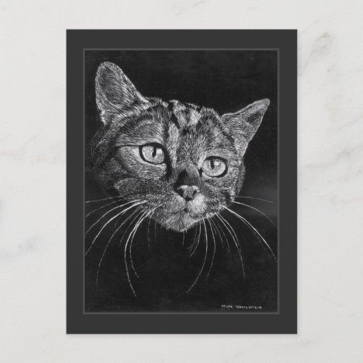 Carte Postale Dessin de visage de chat par Mark Edward Westerfie (Devant)