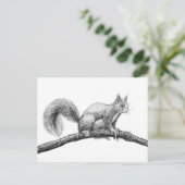 Carte Postale Dessin d'écureuil (Debout devant)