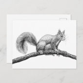 Carte Postale Dessin d'écureuil (Devant / Derrière)