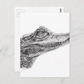 Carte Postale Dessin d'encre de crocodile pour bébé (Devant / Derrière)