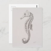Carte Postale Dessin des hippocampes côtiers (Devant / Derrière)