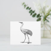 Carte Postale Dessin des oiseaux de grue (Debout devant)