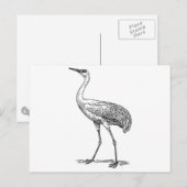 Carte Postale Dessin des oiseaux de grue (Devant / Derrière)