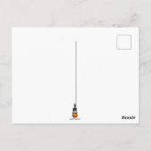 Carte Postale Dessin d'Halloween au chat effrayé sur Citrouille (Dos)