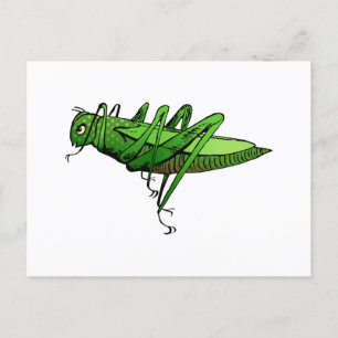 Carte Postale Dessin d'insectes vert vif