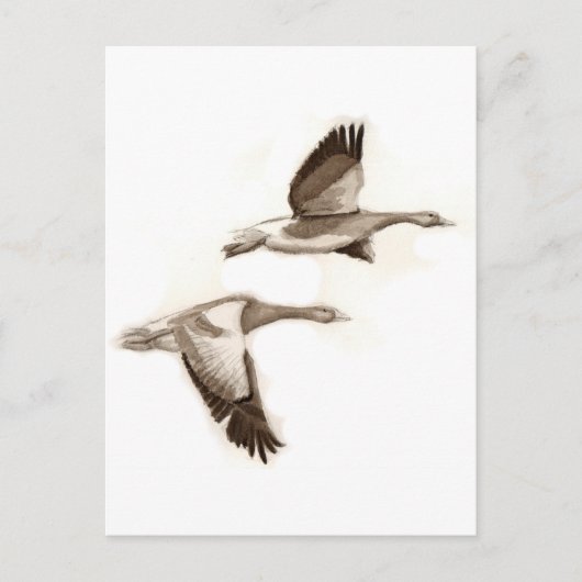 Carte Postale Dessin d'oies volantes (Devant)