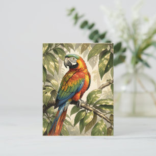 Carte Postale Dessin d'oiseau perroquet sur un arbre
