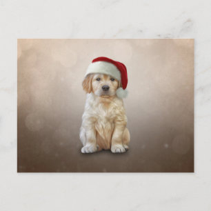 Carte Postale Dessin du chiot Golden Retriever en casquette roug