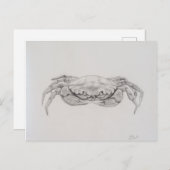Carte Postale Dessin du crabe côtier (Devant / Derrière)