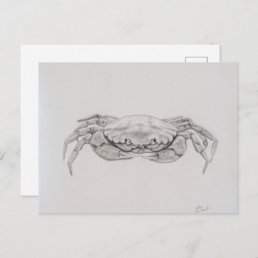 Carte Postale Dessin du crabe côtier (Devant / Derrière)