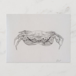 Carte Postale Dessin du crabe côtier