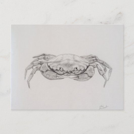 Carte Postale Dessin du crabe côtier (Devant)