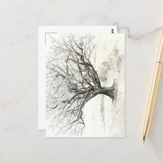 Carte Postale Dessin du stylet et de l'arbre d'encre