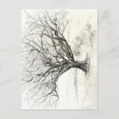 Carte Postale Dessin du stylet et de l'arbre d'encre (Devant)