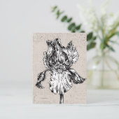 Carte Postale Dessin Iris vintage (Debout devant)