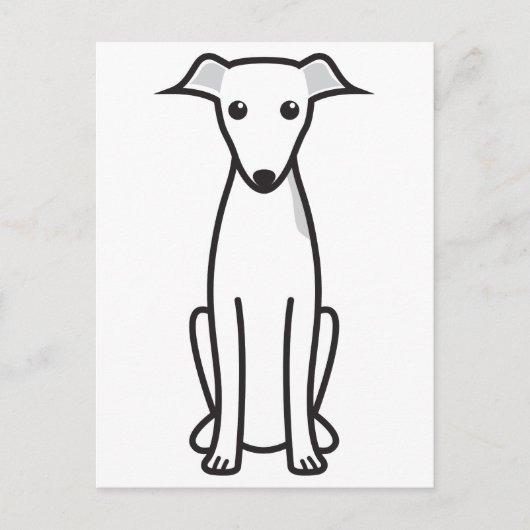 Carte Postale Dessin italien Greyhound Dog (Devant)