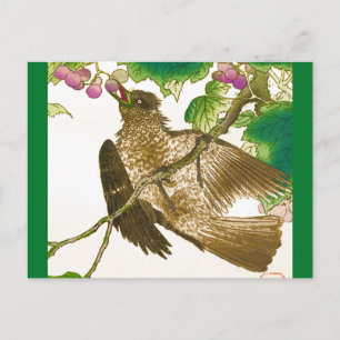 Carte Postale Dessin japonais de geai sur une vigne de raisin