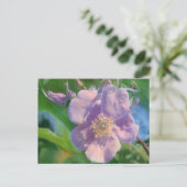 Carte Postale Dessin mixte Rose sauvage (Debout devant)