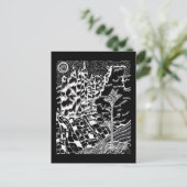 Carte postale Dessin Nature Noir & Blanc (Debout devant)