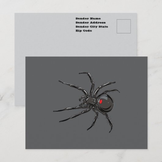 Carte Postale Dessin Original Araignée Veuve Noire Art (Devant / Derrière)