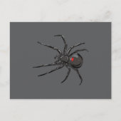 Carte Postale Dessin Original Araignée Veuve Noire Art (Devant)
