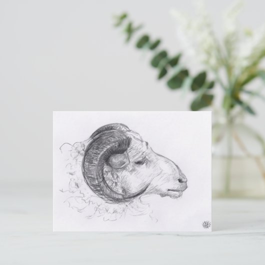 Carte postale Dessin Originale Ram (Debout devant)