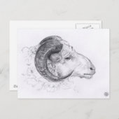 Carte postale Dessin Originale Ram (Devant / Derrière)