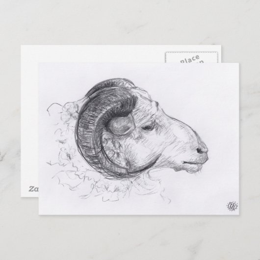 Carte postale Dessin Originale Ram (Devant / Derrière)