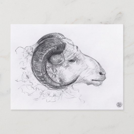 Carte postale Dessin Originale Ram (Devant)