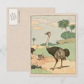 Carte Postale Dessin Ostrich Storybook (Devant / Derrière)