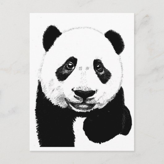 Carte Postale Dessin Panda (Devant)