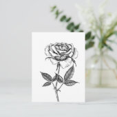Carte Postale dessin rose (Debout devant)