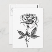 Carte Postale dessin rose (Devant / Derrière)