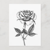 Carte Postale dessin rose (Devant)
