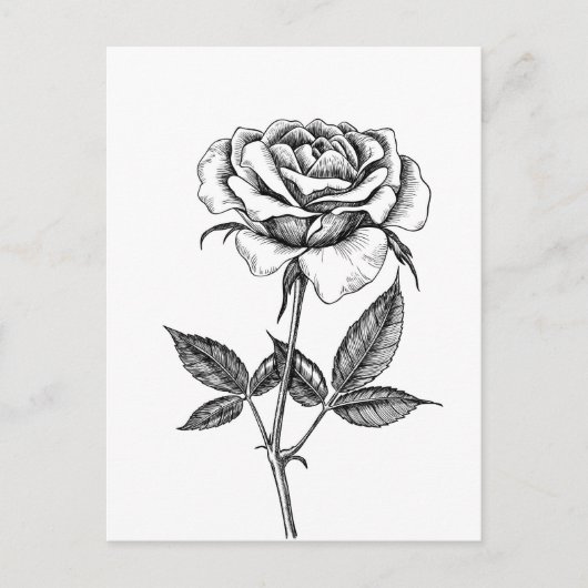 Carte Postale dessin rose (Devant)