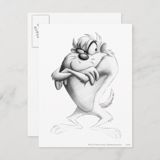 Carte Postale Dessin TAZ™ (Devant / Derrière)