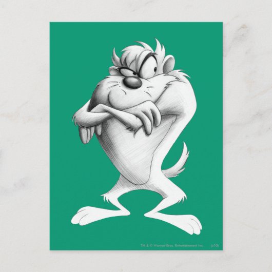 Carte Postale Dessin TAZ™ (Devant)