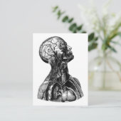 Carte postale Dessin Torso Anatomique (Debout devant)