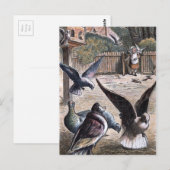 Carte Postale Dessin vintage : Chiens de transport (Devant / Derrière)