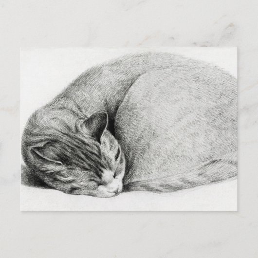 Carte Postale Dessin vintage d'un chaton (Devant)