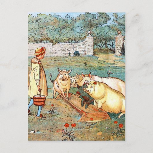 Carte Postale Dessin vintage : Nourrir les cochons (Devant)