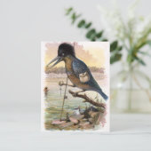 Carte Postale Dessin vintage : Pêcheur (Debout devant)