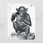 Carte Postale Dessin vintage pour bébé chimpanzé (Devant / Derrière)
