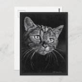 Carte Postale Dessin Visage De Chat Par Mark Edward Westerfield (Devant / Derrière)