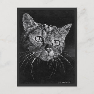 Carte Postale Dessin Visage De Chat Par Mark Edward Westerfield