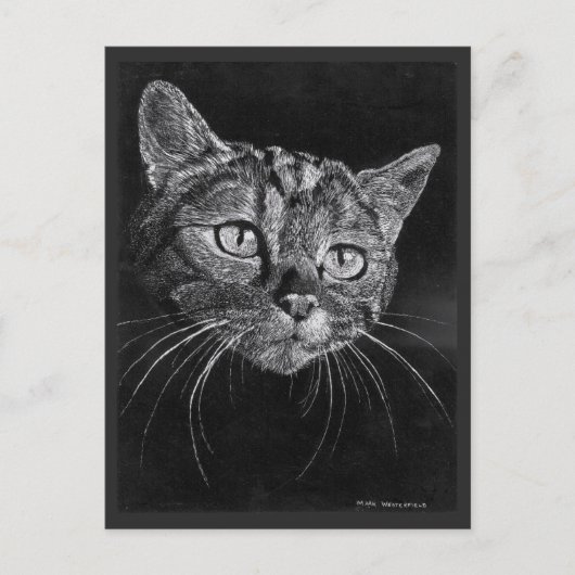 Carte Postale Dessin Visage De Chat Par Mark Edward Westerfield (Devant)
