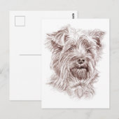 Carte Postale Dessin Yorkshire Terrier (Devant / Derrière)