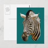 Carte Postale Dessin Zebra (Devant / Derrière)