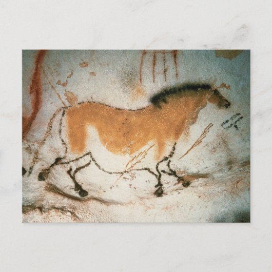 Carte Postale Dessins de grotte Lascaux (Devant)