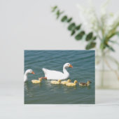 Carte Postale Destin (Debout devant)